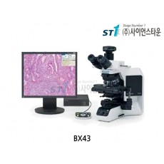 올림푸스 정립형 생물현미경 [BX43]