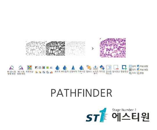 페스파인더 프로그램 [PATHFINDER]