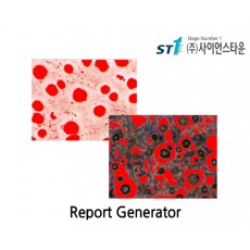 Report Generator