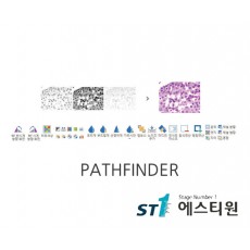 페스파인더 프로그램 [PATHFINDER]